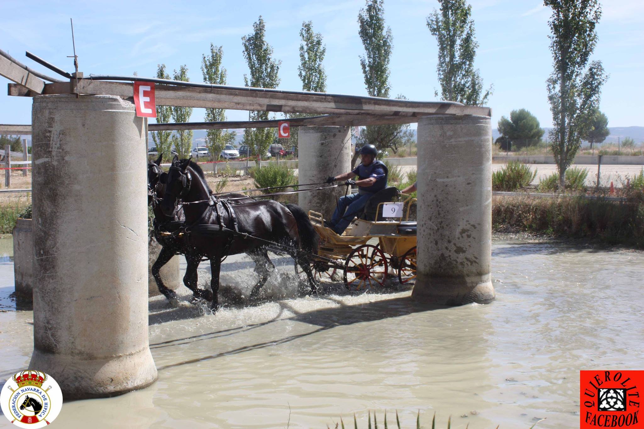 Olite acogió el Campeonato Navarro de Enganches